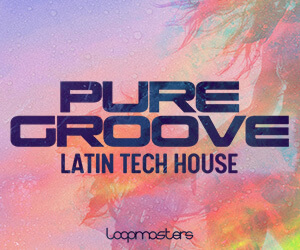 Loopmasters 300x250pure groove 