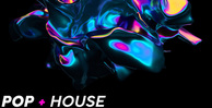 Function loops pop house 512 loopmasters